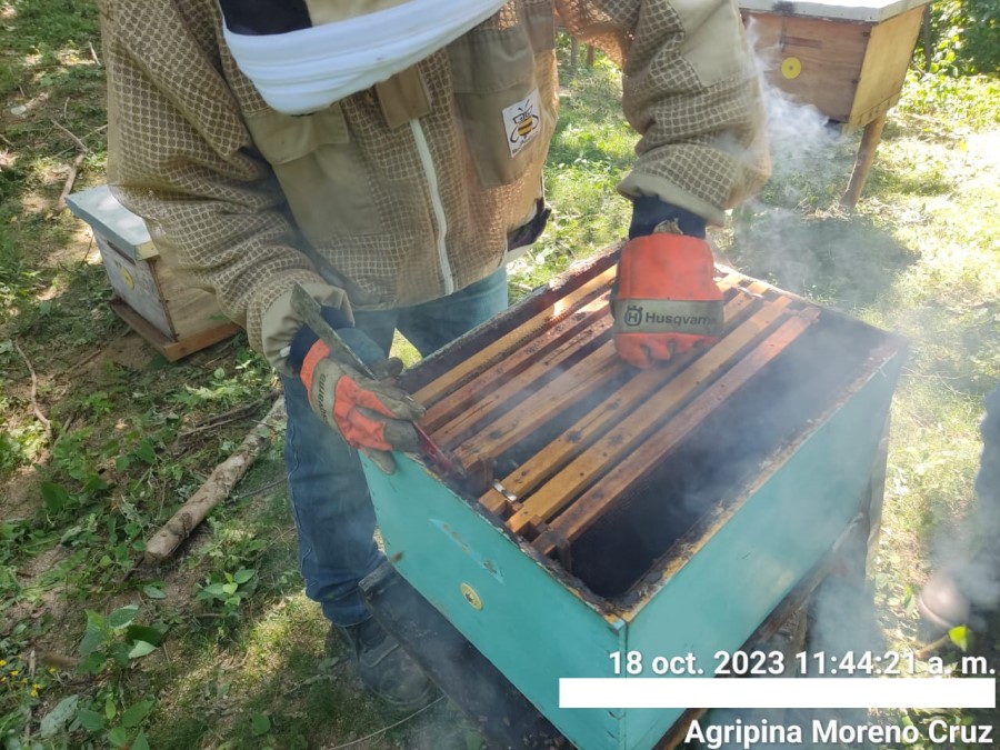 Foto de la apícola
