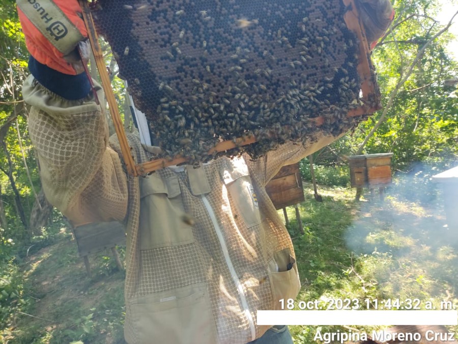 Foto de la apícola