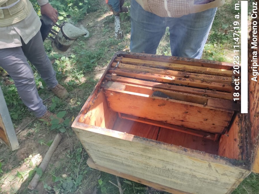 Foto de la apícola