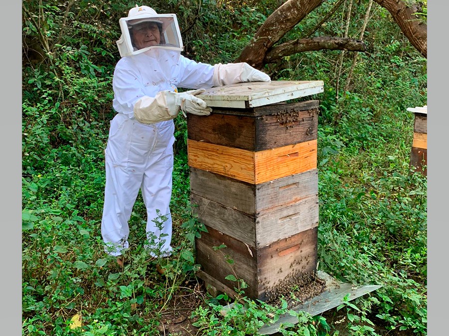 Foto de la apícola