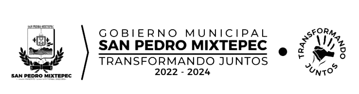 Gobierno de San Pedro Mixtepec